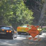 Cambria_0176 (November 03, 2012)